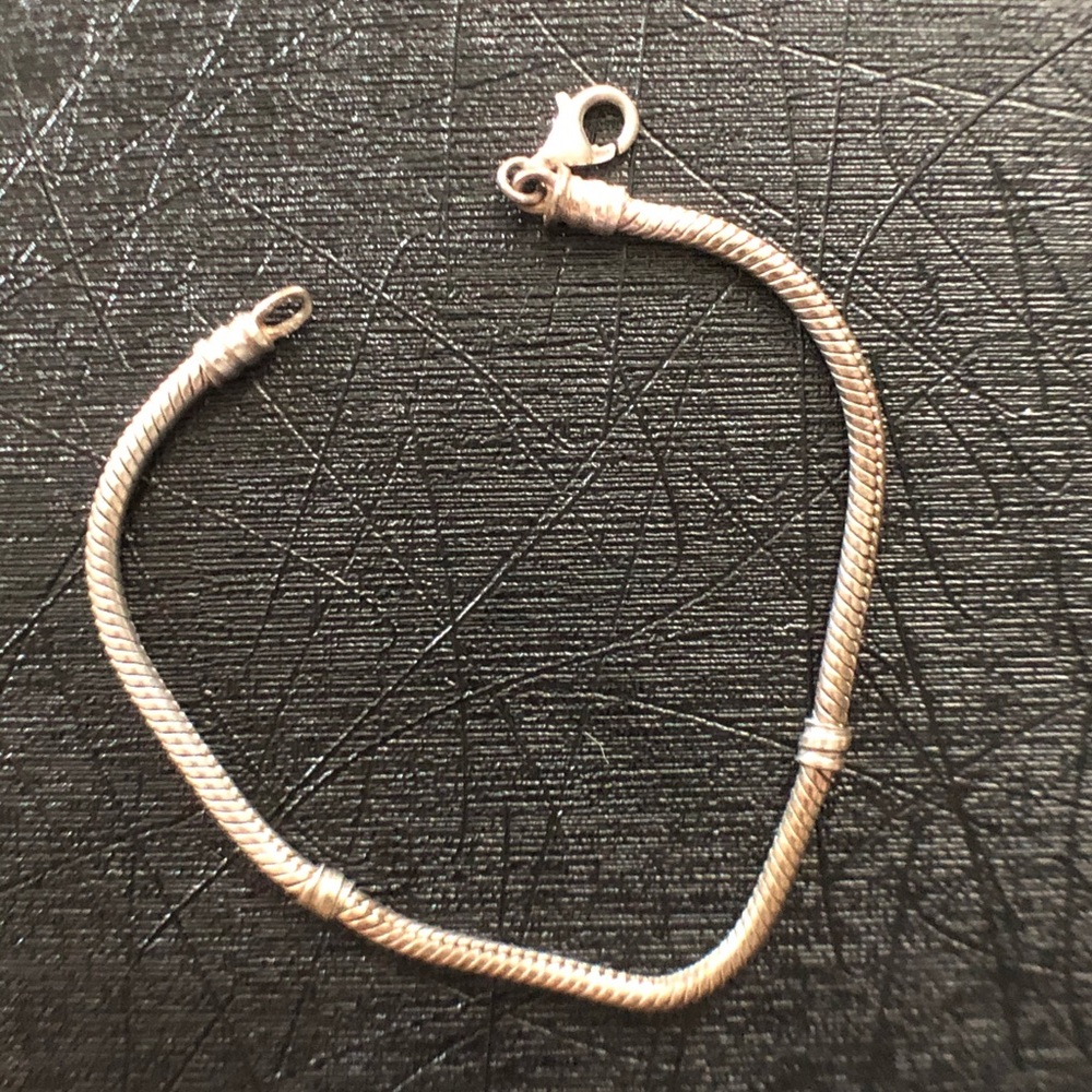 Pandora Charm Bracelet